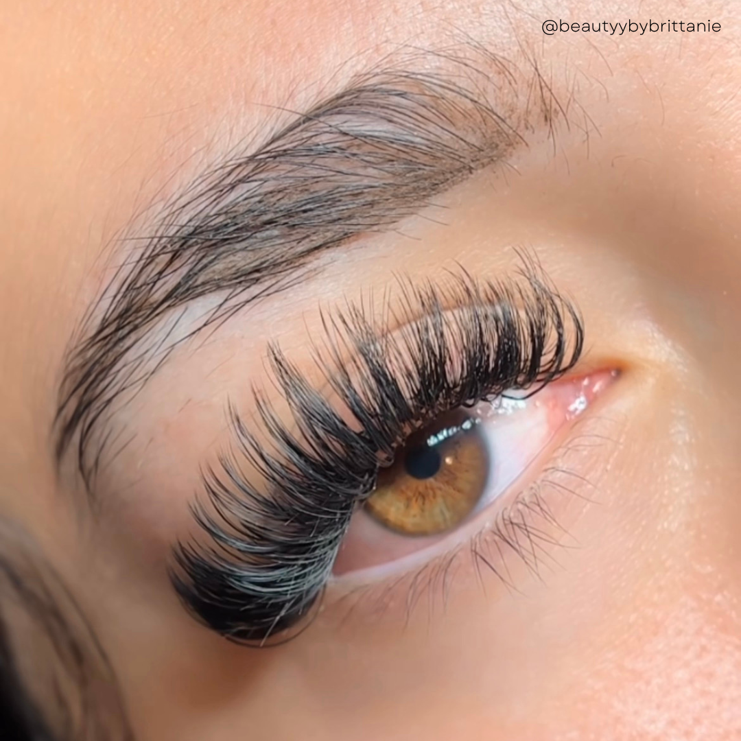 0.07 ROYAL MINK lash trays π