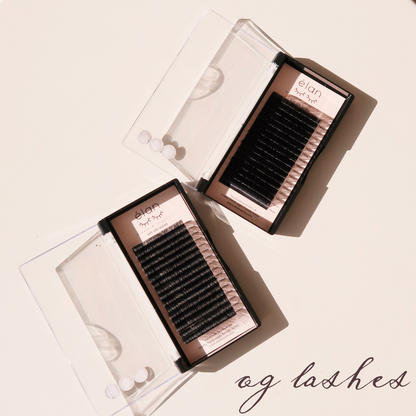 0.05 SOFT SILK lash trays 🌟