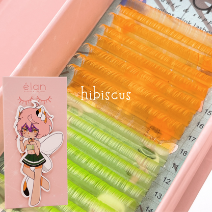 PIXIE collection velvet color lashes