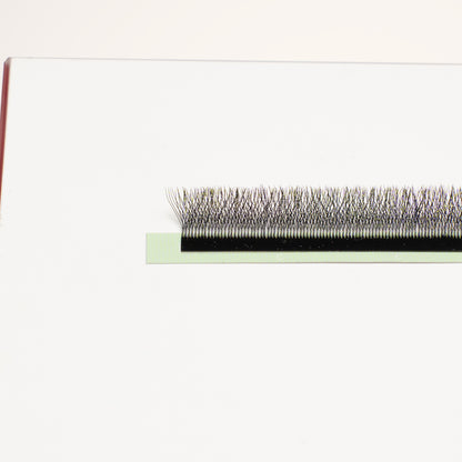 XL special YY lashes