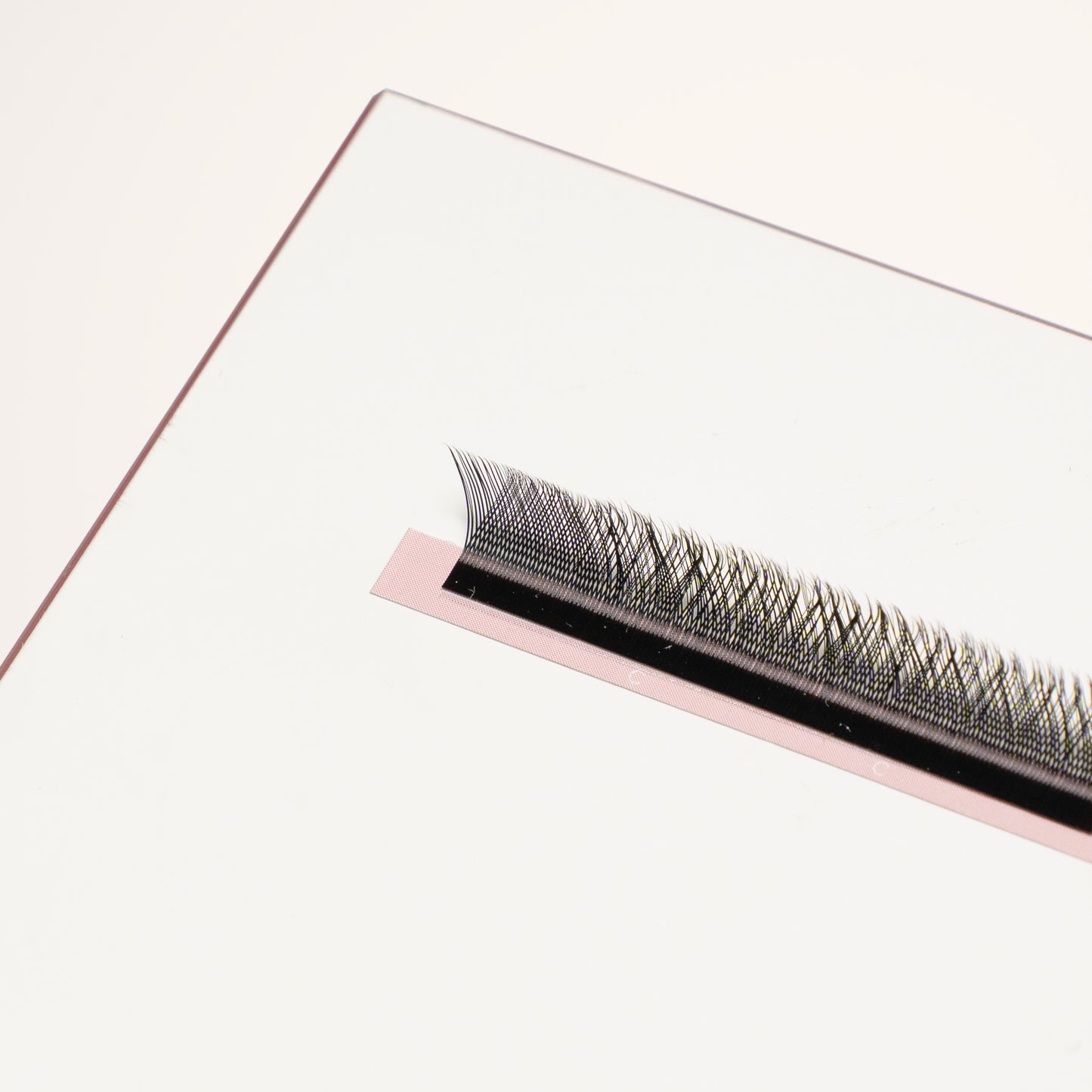 XL special YY lashes