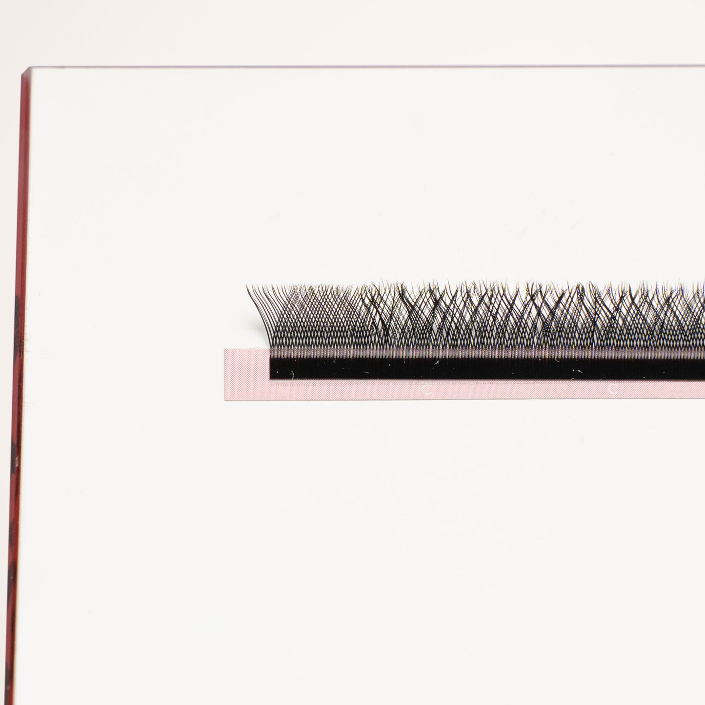 XL special YY lashes