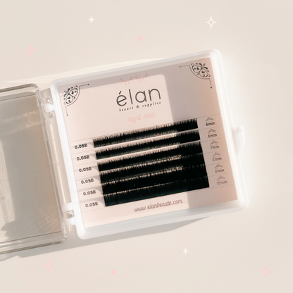BOTTOM LASHES mini tray