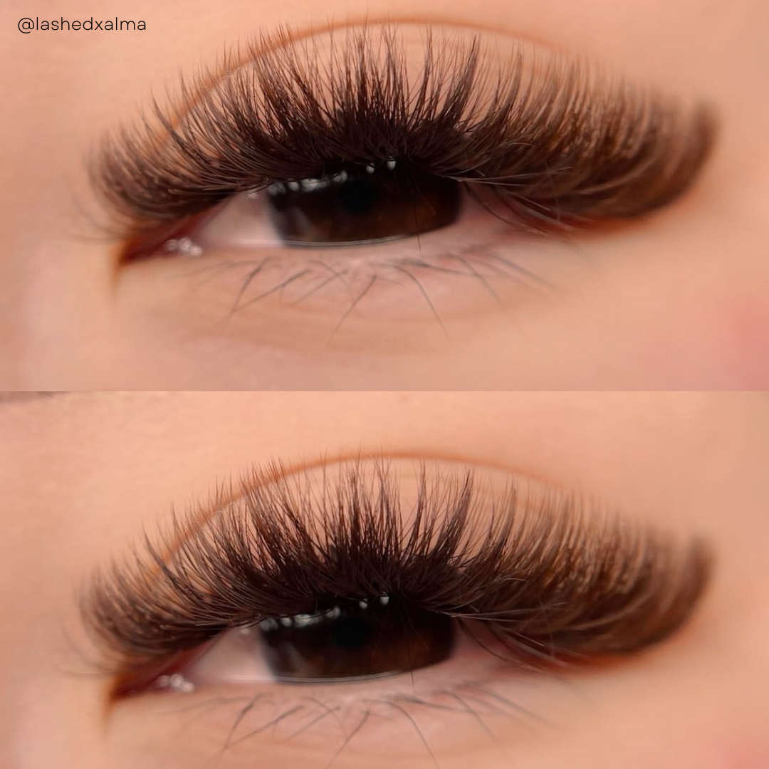 DARK BROWN color lashes