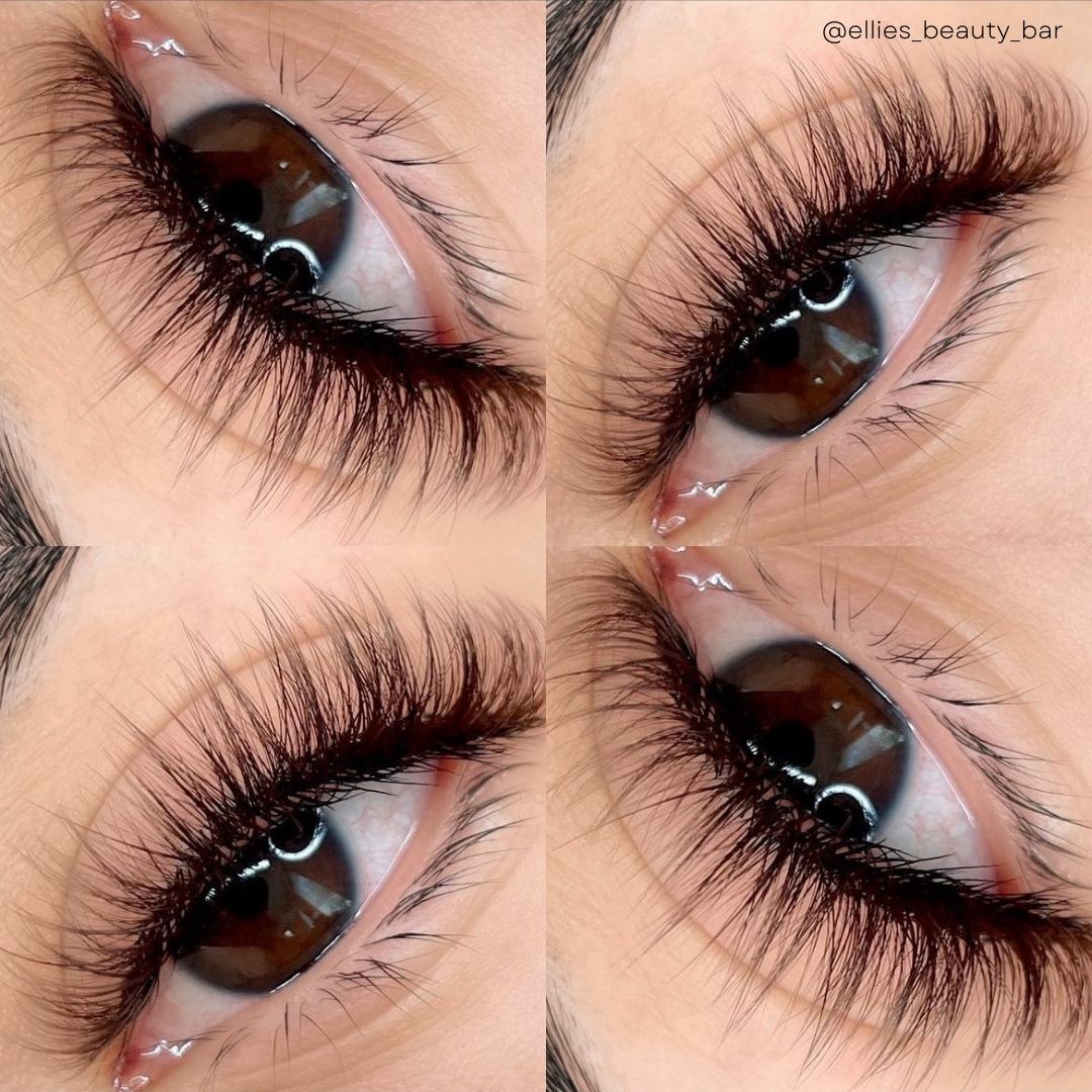 DARK BROWN color lashes