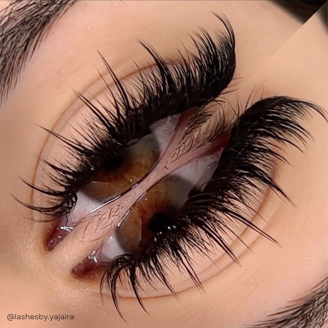 0.03 CASHMERE MINK lash trays 💫