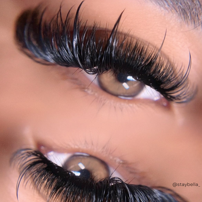 0.03 CASHMERE MINK lash trays 💫