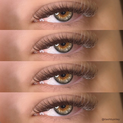 DARK BROWN color lashes