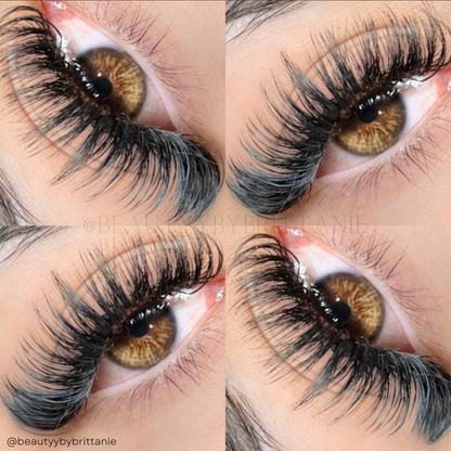 0.05 ROYAL MINK lash trays 👑