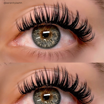 0.03 ROYAL MINK lash trays 👑