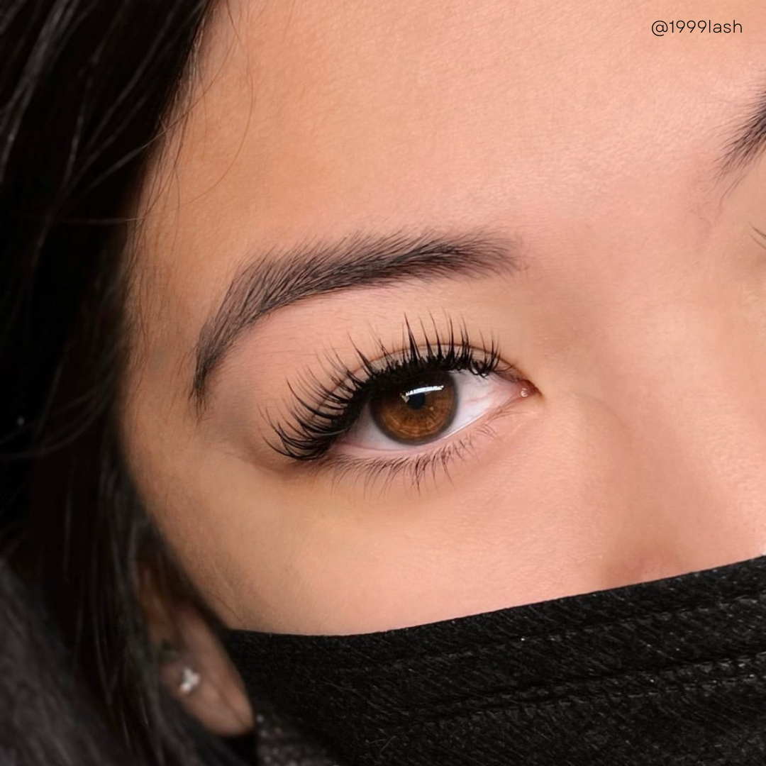 0.07 VELVET MINK lash trays ☁️